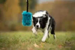 Doggie-Zen Bungee Crinkle-n-Treat Trækkelegetøj Fake Fur L