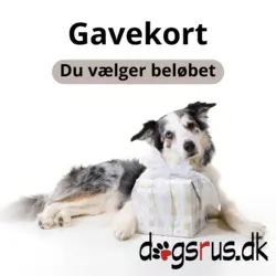 Gavekort til shopdogsrus.dk