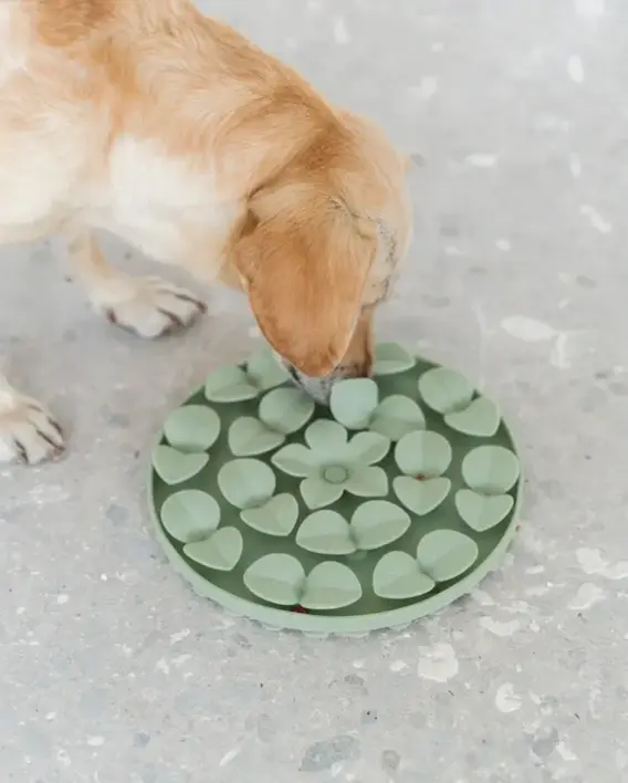 Flower Snuffle Mat | Slikke/snusemåtte i silikone i lysegrøn. Gul lille hund er igang med at snuse efter godbidder.