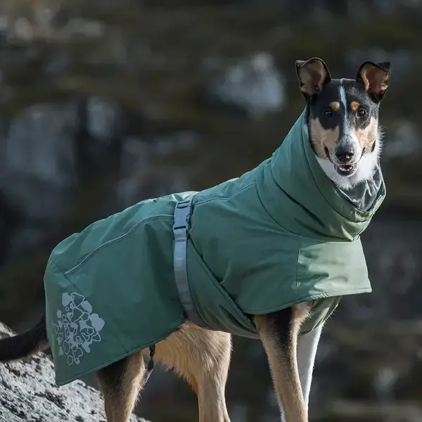 Hund klædt i Hurtta's varmende vinterjakke