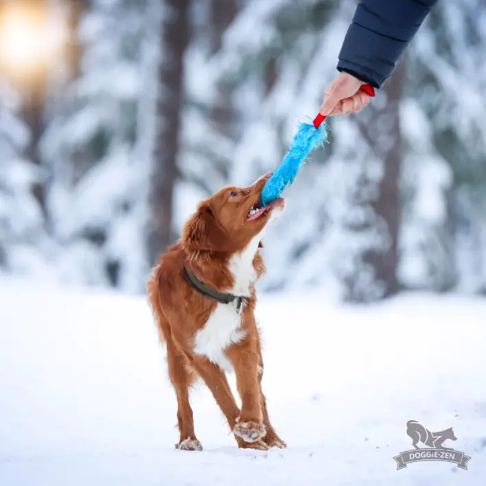 Hund leger med Doggie-Zen Pocket Legetøj m. Fake Fur og Piv