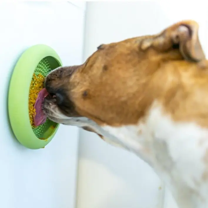 Hund slikker på en grøn LickiMat UFO, der er fastgjort til en væg, hvilket giver mental stimulering og en langsom foderløsning