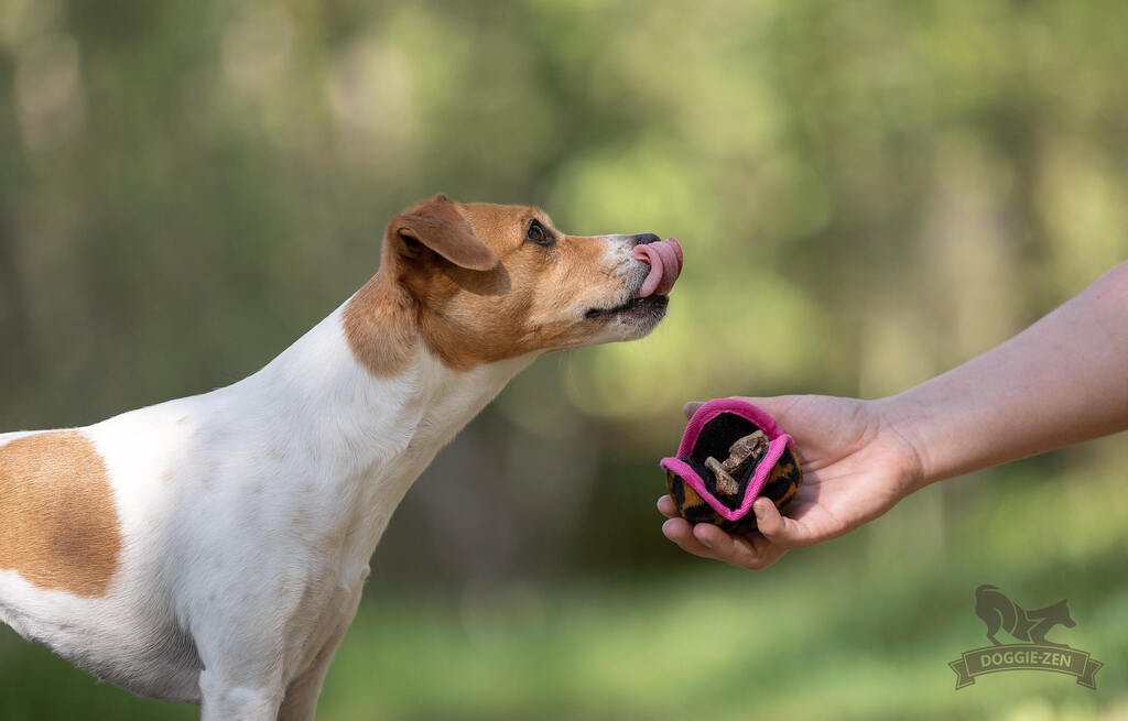 En hund får godbidder placeret i Treat Ball af sin ejer. Bolden er let at åbne og lukke med velcro, og hunden ser ivrigt på.