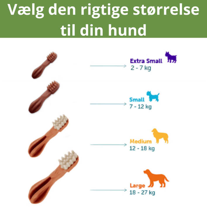 Vælg den rigtige størrelse af Whimzees tandbørste til din hund