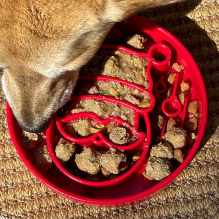 Sodapup julemand slowfeeder med vådfoder i.