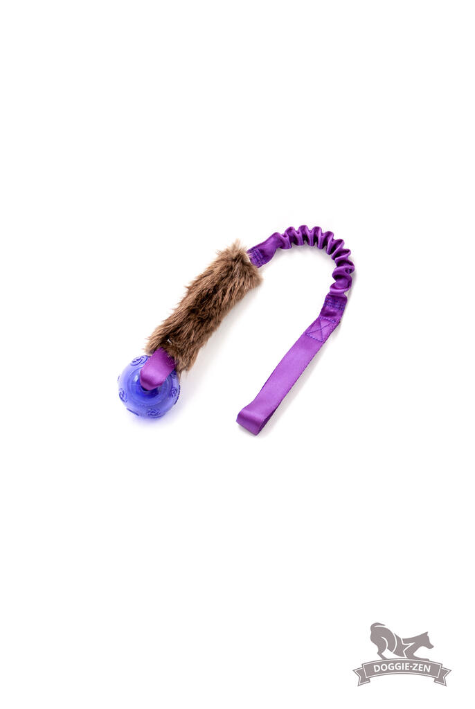 Doggie-Zen Bungee m. Bæver og KONG Squeezz Bold