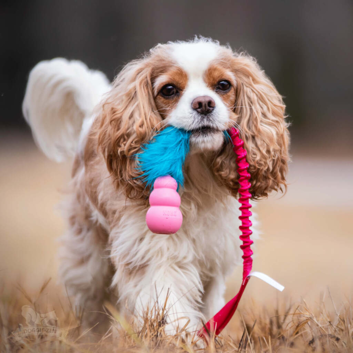 Doggie-Zen Bungee Fake Fur m. KONG Puppy