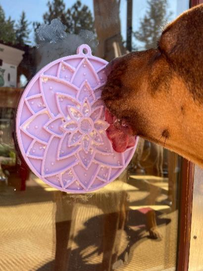Hund slikker på lilla sodapup lotus slikkemåtte der sidder på et vindue