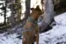 En hund nyder naturen mens den bærer Hurtta Weekend Warrior ECO Halsbånd i farven Hedge, tilgængelig på ShopDogsRUs.dk