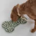 En lysebrun puddel henter godbidder fra en lysegrøn silikone fodringsmåtte, som er formet som et knogle og placeret på et lyst gulv, hvilket fremmer langsom spisning og mental aktivering.