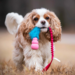 Doggie-Zen Bungee Fake Fur m. KONG Puppy