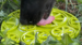 Sort hund slikker på en grøn citrusformet slikkemåtte fra SodaPup i græsset – en berigende aktivitet med vådfoder eller snack.