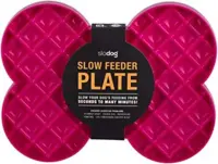 SloDog Slow Feeder Plate